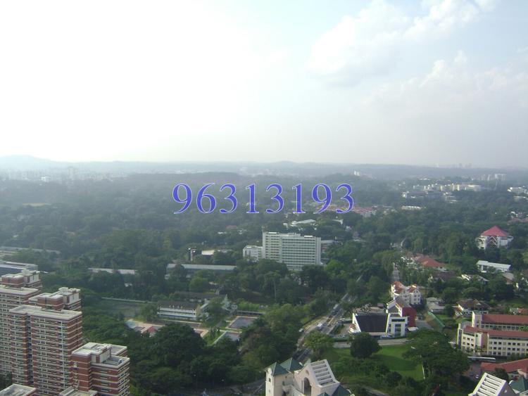 The Metropolitan Condominium (D3), Condominium #125184472